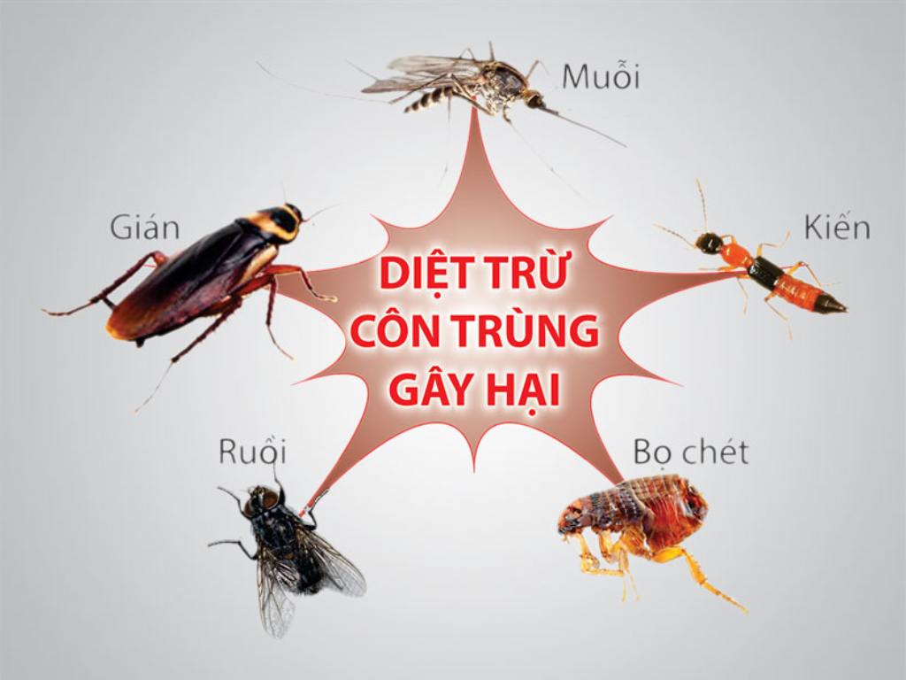Công Ty Cổ Phần Trừ Mối Khử Trùng Hà Nội