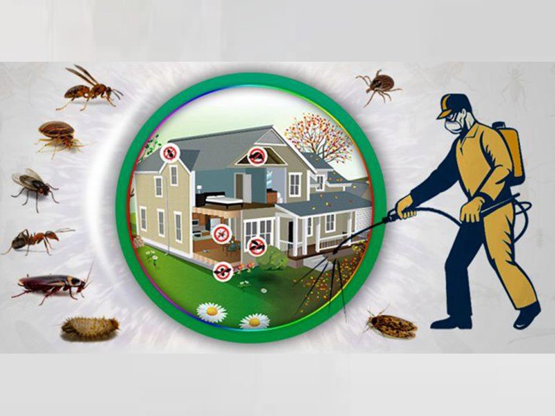 Công Ty Cổ Phần Trừ Mối Khử Trùng Hà Nội