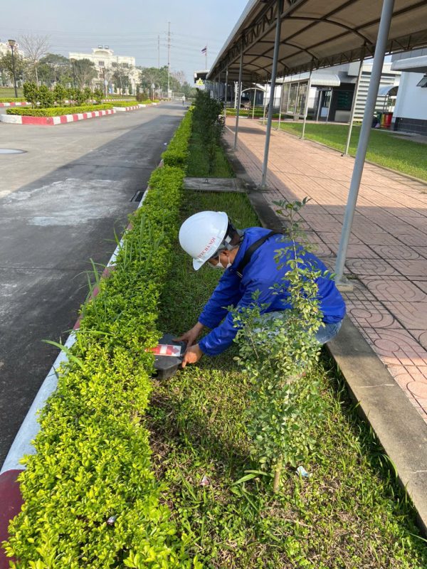 Công Ty Cổ Phần Trừ Mối Khử Trùng Hà Nội